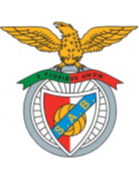 https://img.bjjhyy99.com/img/football/team/13d8d22b32e0803f939082416da63541.png