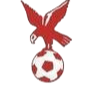 https://img.bjjhyy99.com/img/football/team/4802d26df935b78bb2fcdbbff36e8864.png