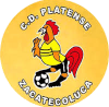 https://img.bjjhyy99.com/img/football/team/63b0933cc303927659846a4ed54b1522.png